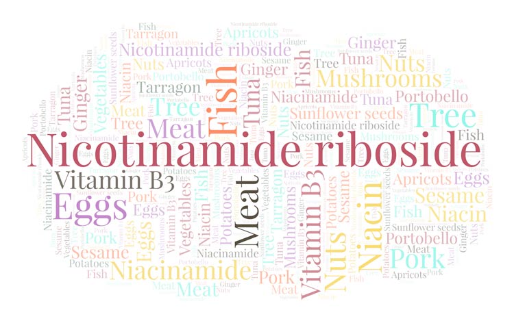 Nicotinamide riboside : un complément alimentaire bénéfique pour la santé